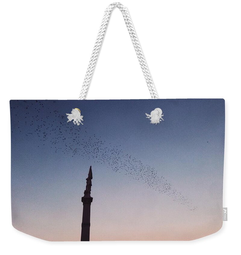 Birds Weekender Tote Bag featuring the photograph Birds of a Feather... by Annie Walczyk