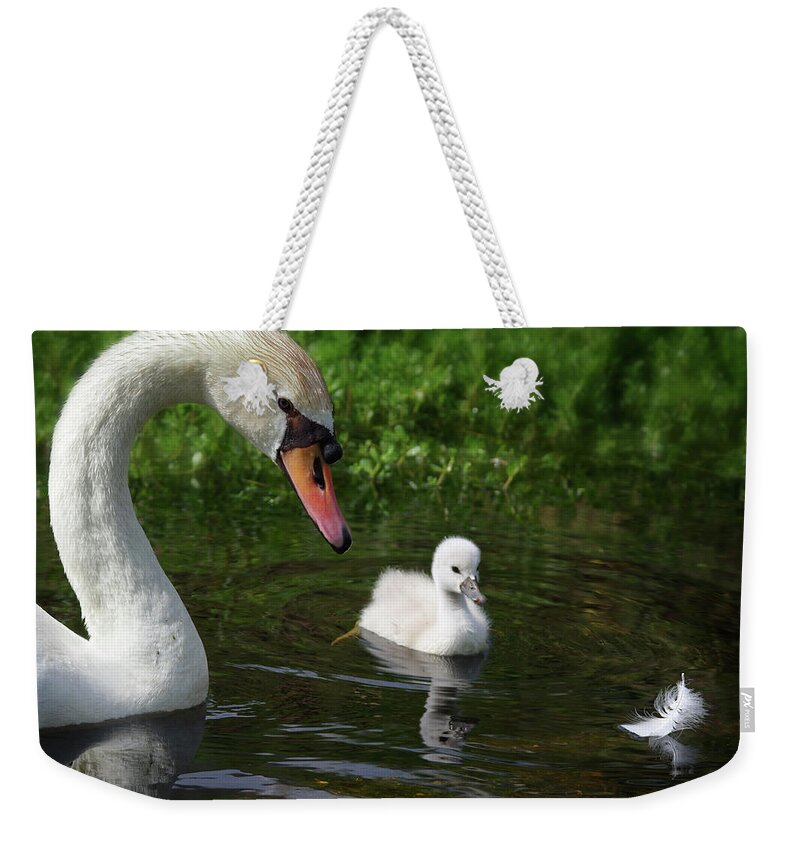 Mute Swans Weekender Tote Bag featuring the photograph Birds Of Feather... by Evelyn Garcia