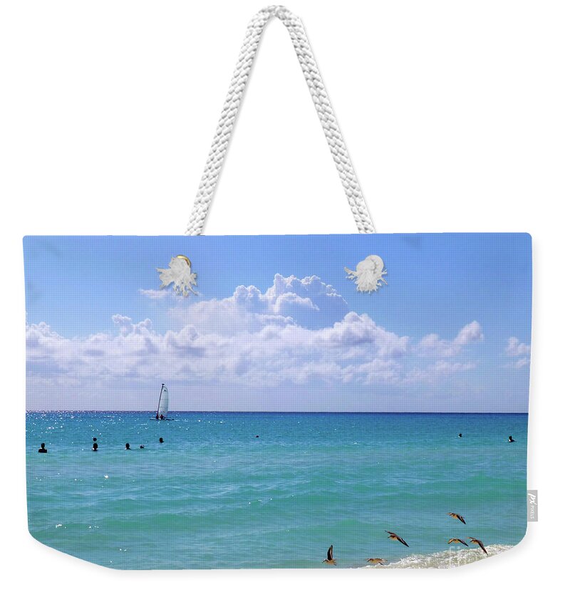 Beach Weekender Tote Bag featuring the photograph Birds on the beach M4 by Francesca Mackenney