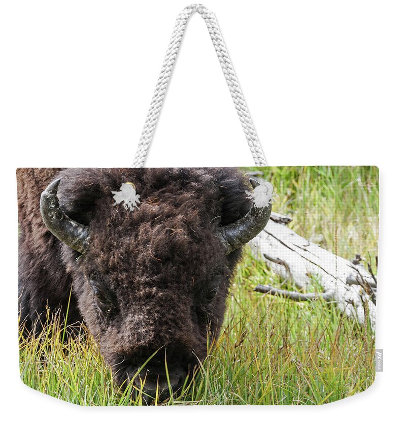 Bison Bull; Wildlife; Bison; Weekender Tote Bag featuring the photograph Bison Bull #3 by Brett Pelletier