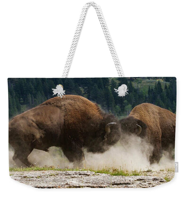 Mark Miller Photos Weekender Tote Bag featuring the photograph Bison Duel by Mark Miller