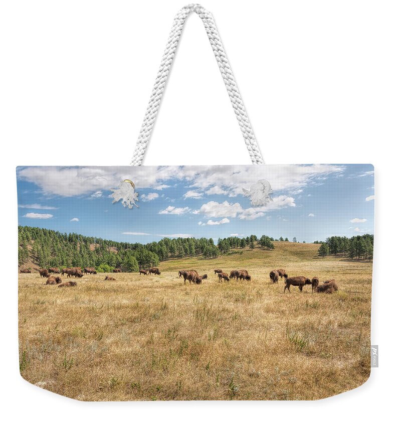 Landscape Weekender Tote Bag featuring the photograph Bison Grazing by John M Bailey