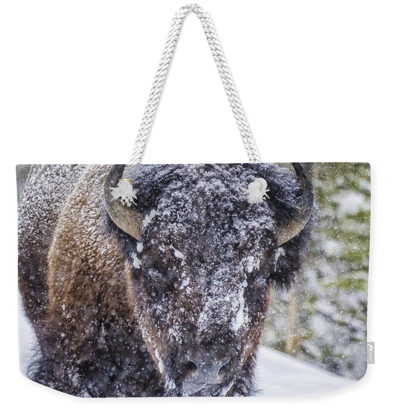 Bison Weekender Tote Bag featuring the photograph Bison in a Snowstorm by Peg Runyan