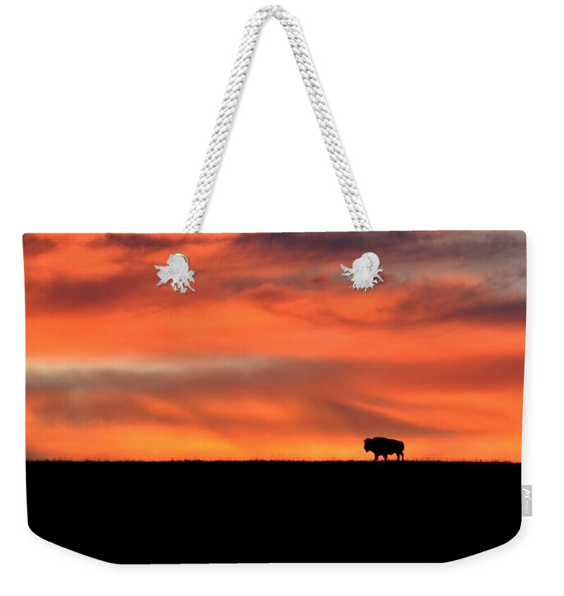  Weekender Tote Bag featuring the photograph Bison in the Morning Light by Keith Stokes