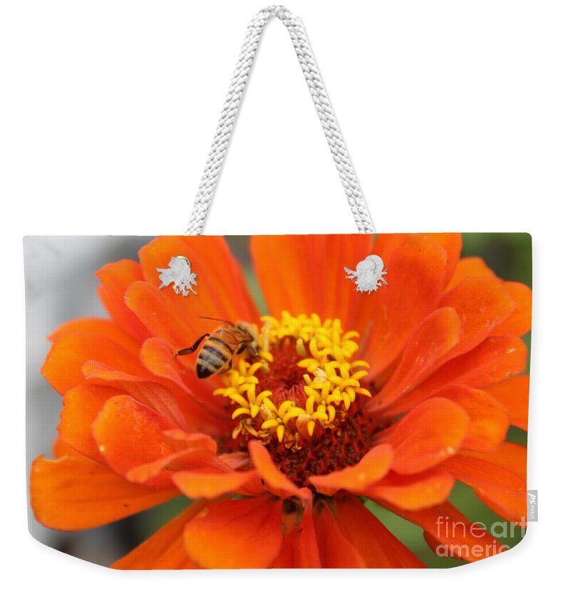  Weekender Tote Bag featuring the photograph Bizzie Little Bee by David King