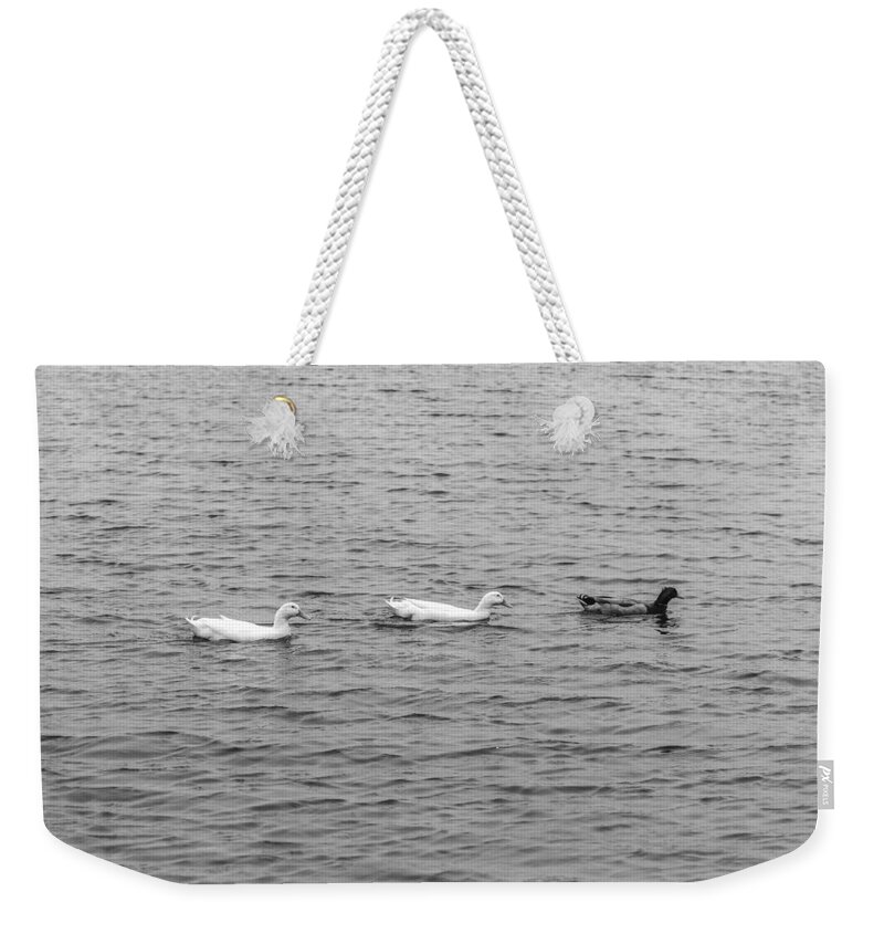 Black And White Weekender Tote Bag featuring the photograph Black and White 11 by Jimmy McDonald