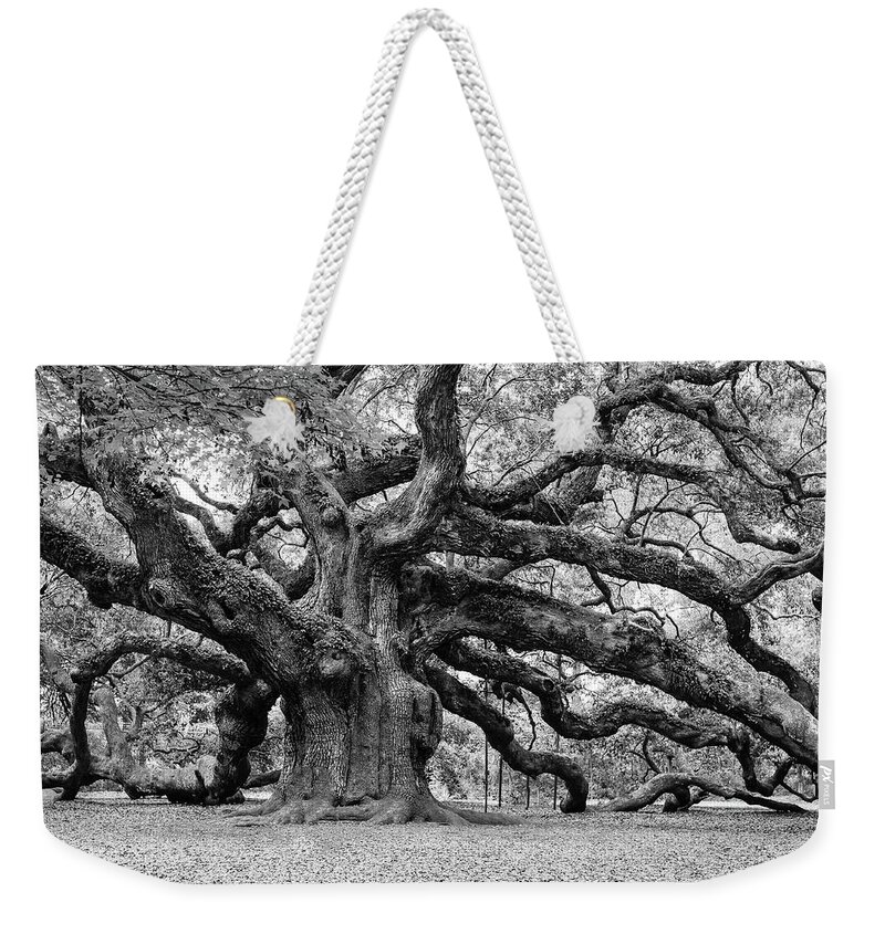 Angel Oak Weekender Tote Bag featuring the photograph Black and White Angel Oak Tree by Louis Dallara