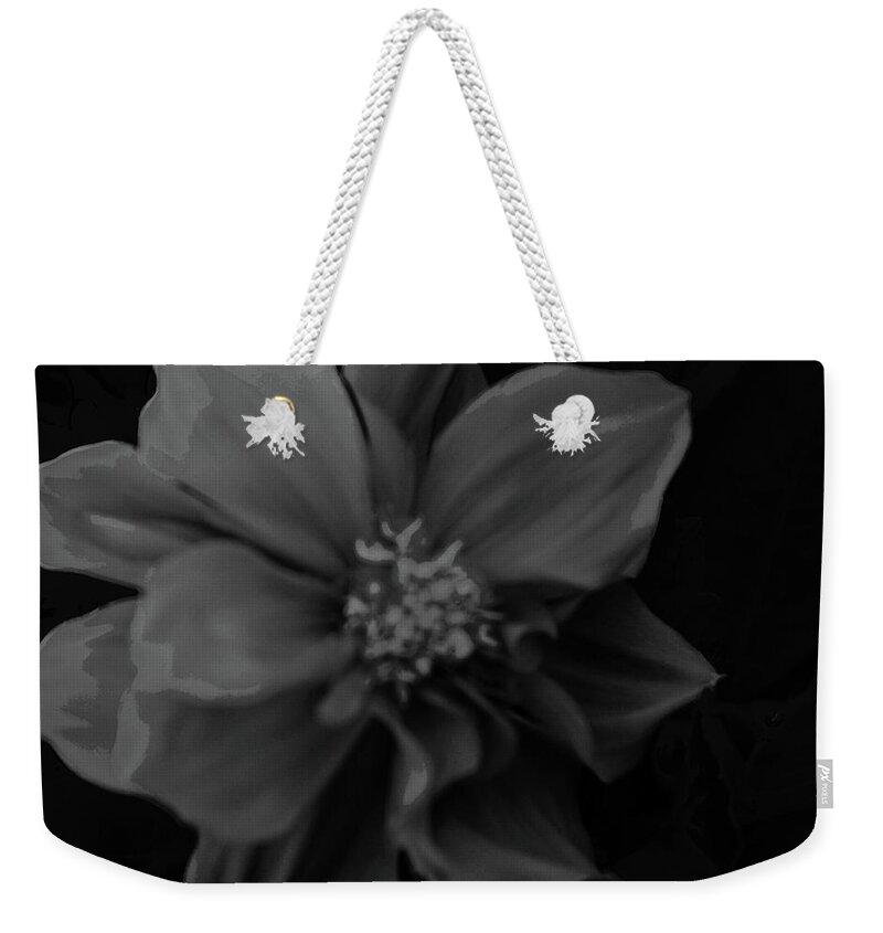 Nature Weekender Tote Bag featuring the photograph Black And White Beauty by Joe Burns