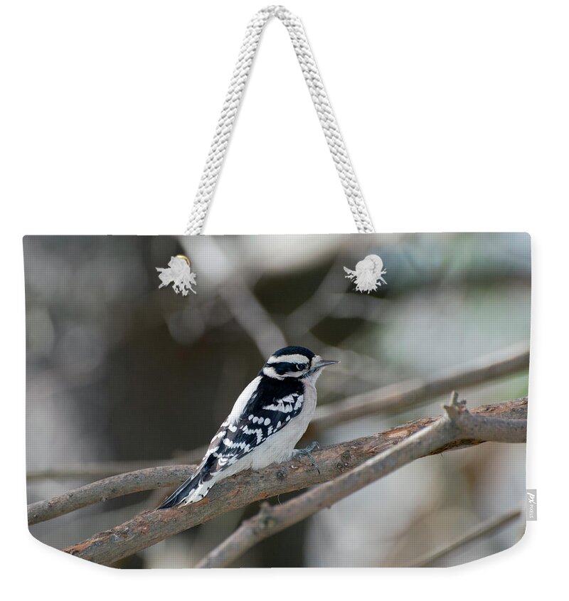 Bird Weekender Tote Bag featuring the photograph Black and White Bird by Paul Ross