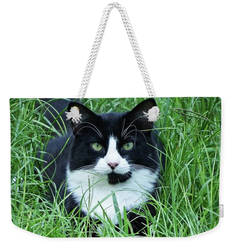 Black Weekender Tote Bag featuring the photograph Black and White Cat with Green Eyes by Cathy Harper
