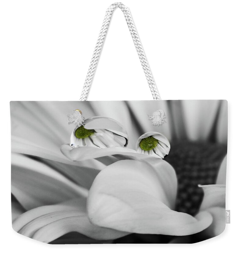 Flower Weekender Tote Bag featuring the photograph Black and White Daisy Water by Tammy Ray
