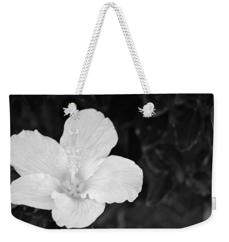 Flower Weekender Tote Bag featuring the photograph Black and White Hibiscus 3 by Amy Fose