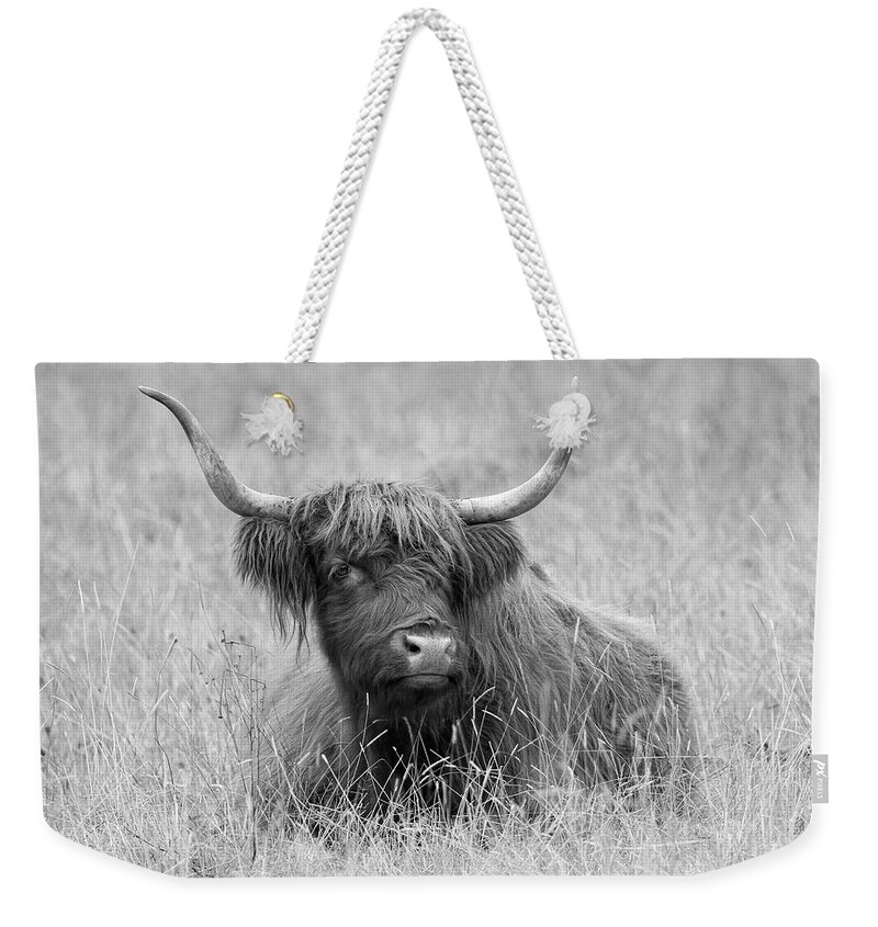Highland Cow Weekender Tote Bag featuring the photograph Black and White highland Bull by Steve McKinzie