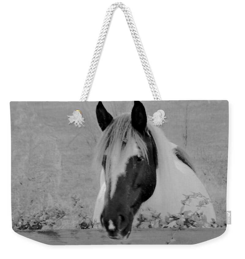 Horse Weekender Tote Bag featuring the photograph Black and White Horse by Eileen Brymer
