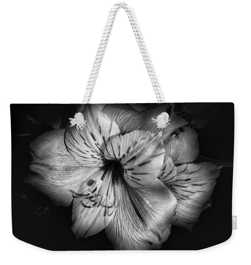 Lily Weekender Tote Bag featuring the photograph Black and White Lily by Judy Hall-Folde