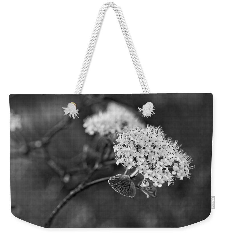 Miguel Weekender Tote Bag featuring the photograph Black and White by Miguel Winterpacht