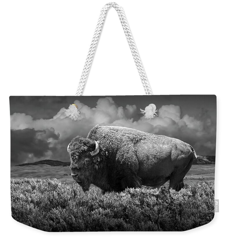 Buffalo Weekender Tote Bag featuring the photograph Black and White of American Buffalo in Yellowstone by Randall Nyhof