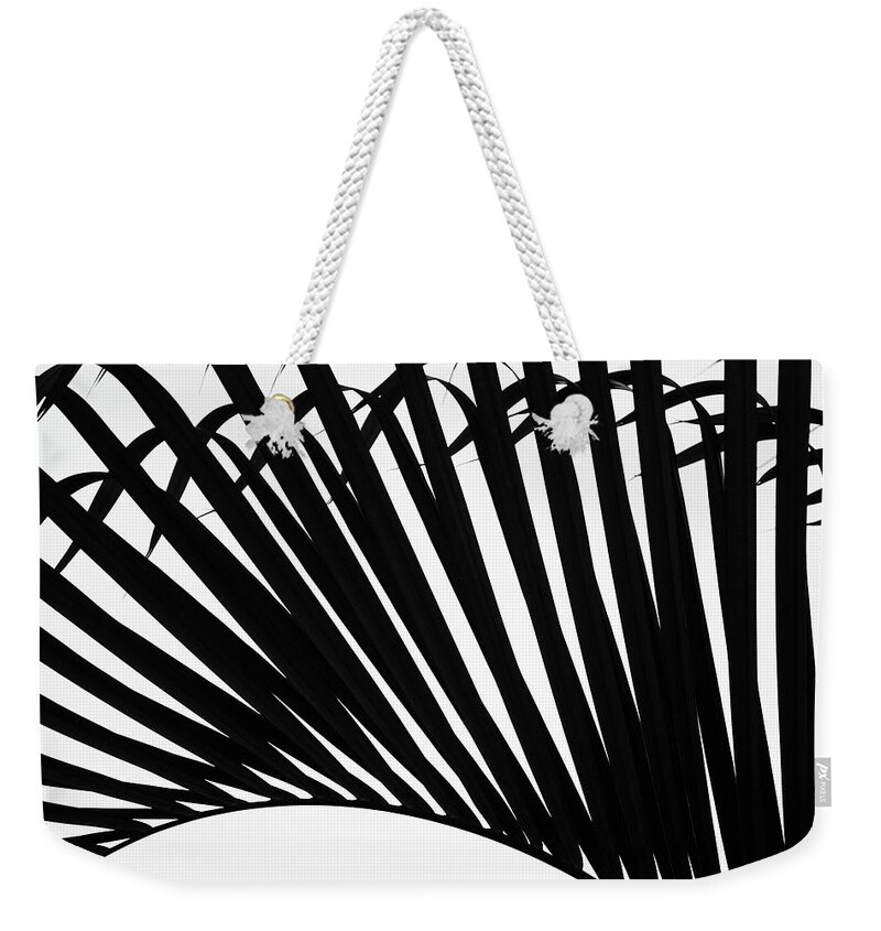 Palm Weekender Tote Bag featuring the photograph Black and White Palm Branch by Christopher Johnson