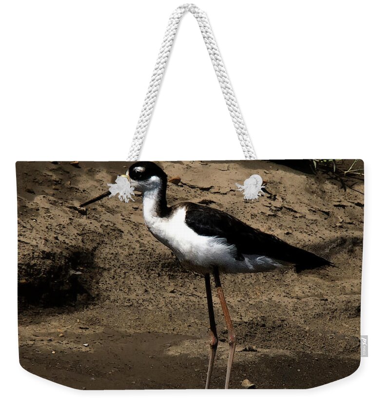 Stilt Bird Weekender Tote Bag featuring the photograph Black and White Stilt by Jessica Levant