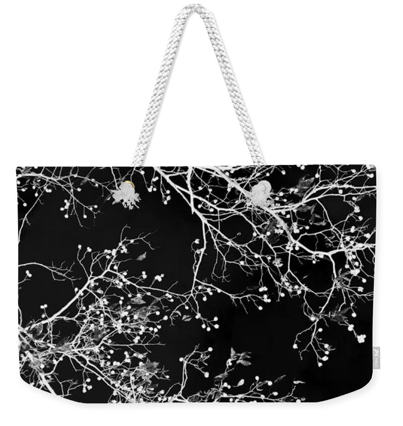 Black And White Weekender Tote Bag featuring the photograph Black and White Tree Art II by Christina Rollo