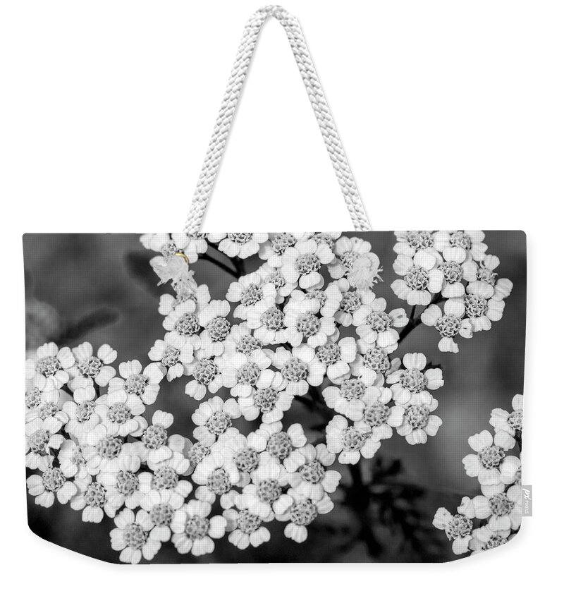 Black And White Weekender Tote Bag featuring the photograph Black and White Yarrow Flower by Christina Rollo
