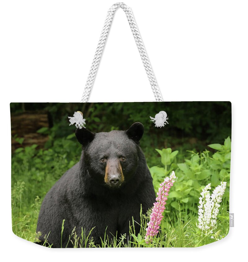 Bear Weekender Tote Bag featuring the photograph Black Bear and Lupines by Duane Cross