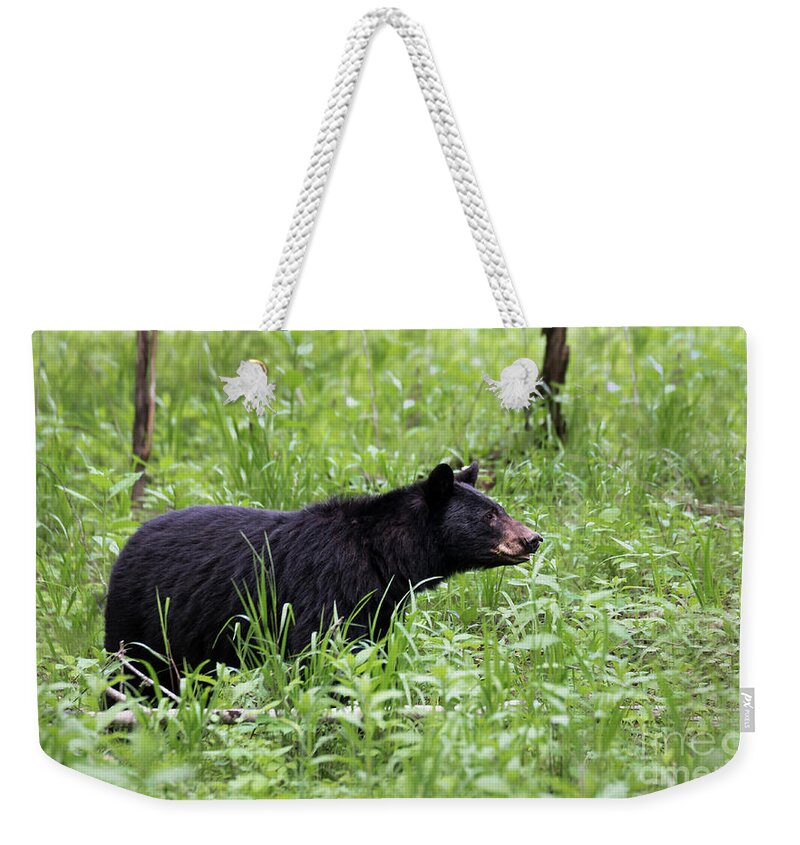 Bear Weekender Tote Bag featuring the photograph Black Bear in the Woods by Andrea Silies