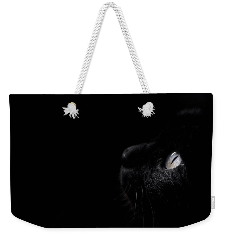 Black Weekender Tote Bag featuring the photograph Black beauty by Laura Melis