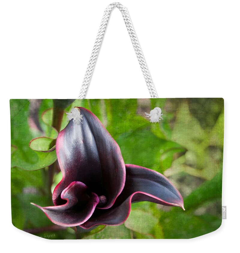 Black Calla Lily Weekender Tote Bag featuring the photograph Black Beauty by Terri Harper
