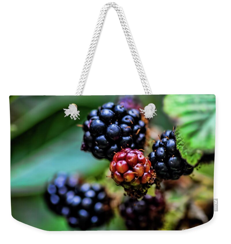 Berries Weekender Tote Bag featuring the photograph Black Berries by Shirley Mangini