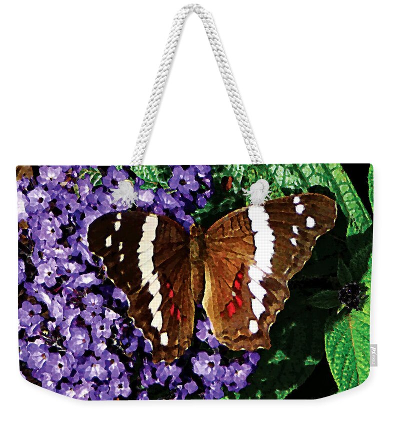 Butterfly Weekender Tote Bag featuring the photograph Black Butterfly on Heliotrope by Susan Savad
