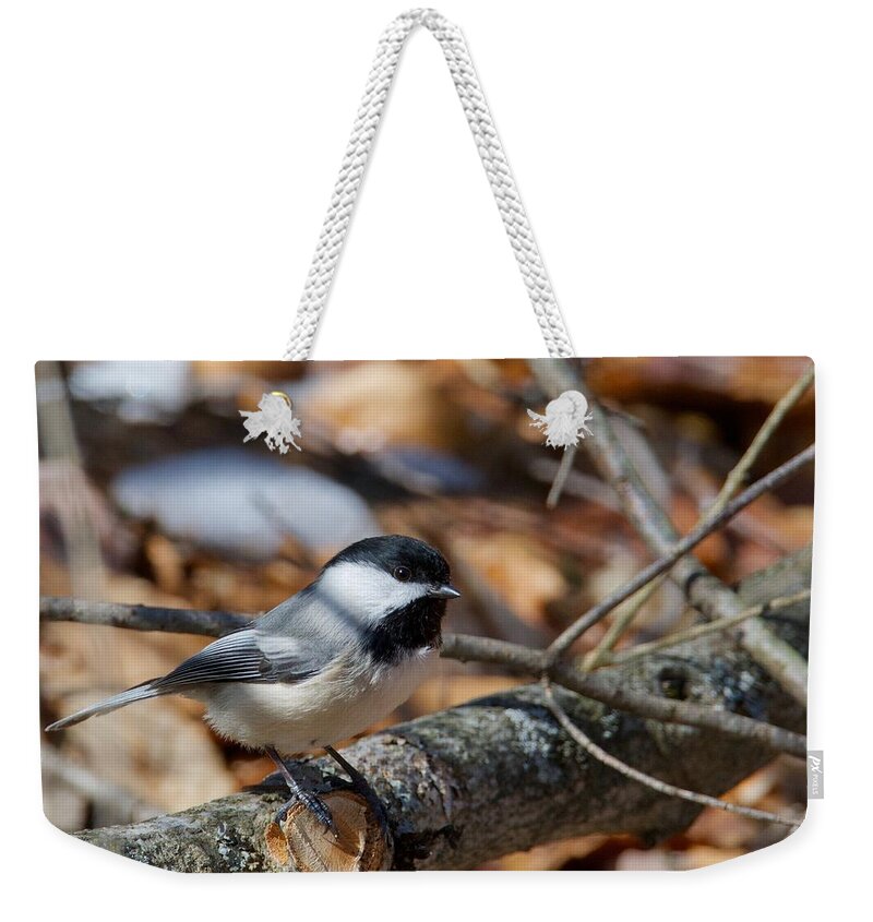 Black-capped Weekender Tote Bag featuring the photograph Black-capped Chickadee 0571 by Michael Peychich