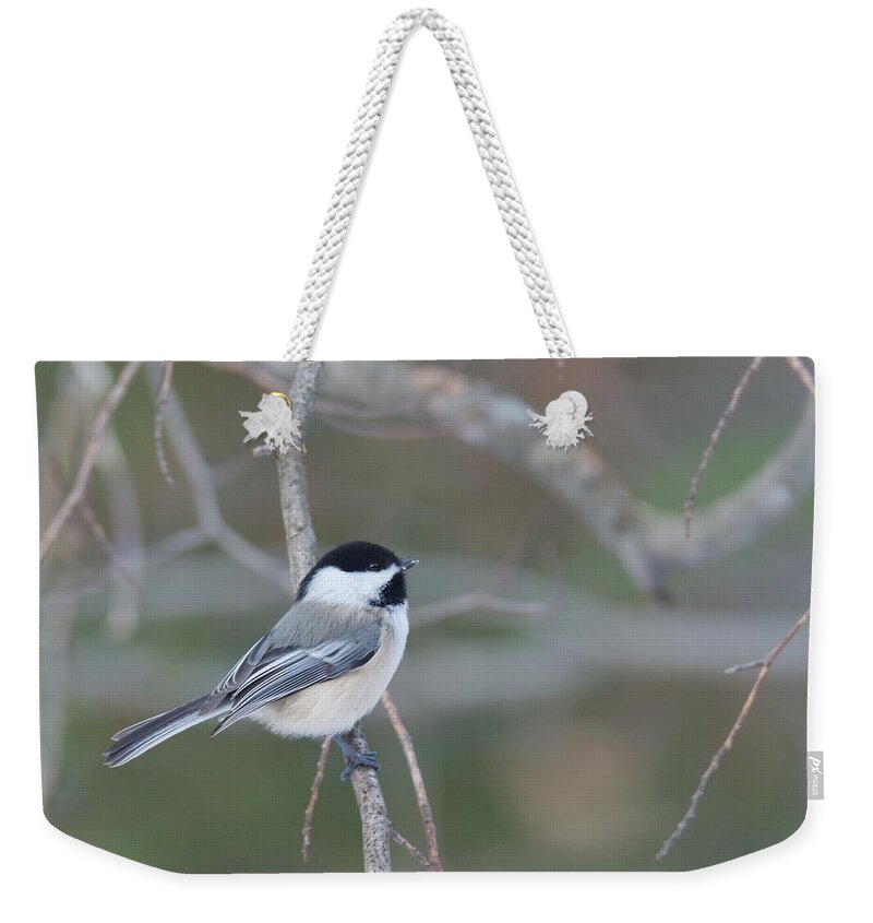 Bird Weekender Tote Bag featuring the photograph Black Capped Chickadee 1379 by Michael Peychich