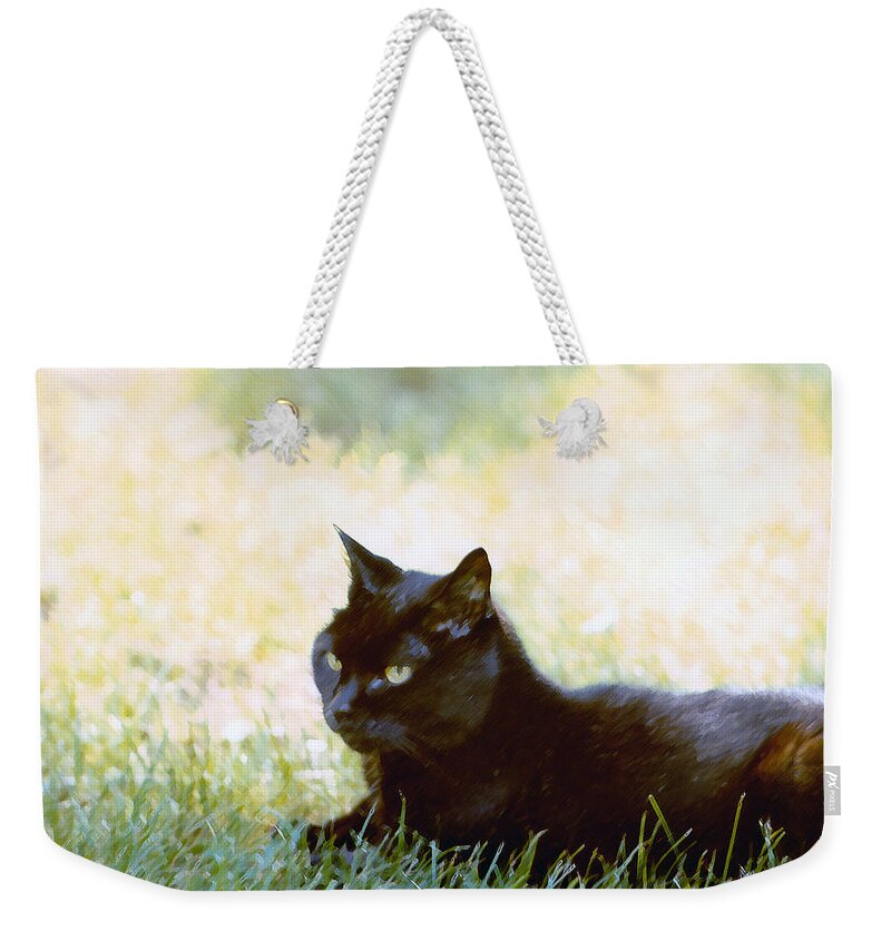 Black Cat Weekender Tote Bag featuring the photograph Black Cat in the Sun by Geoff Jewett