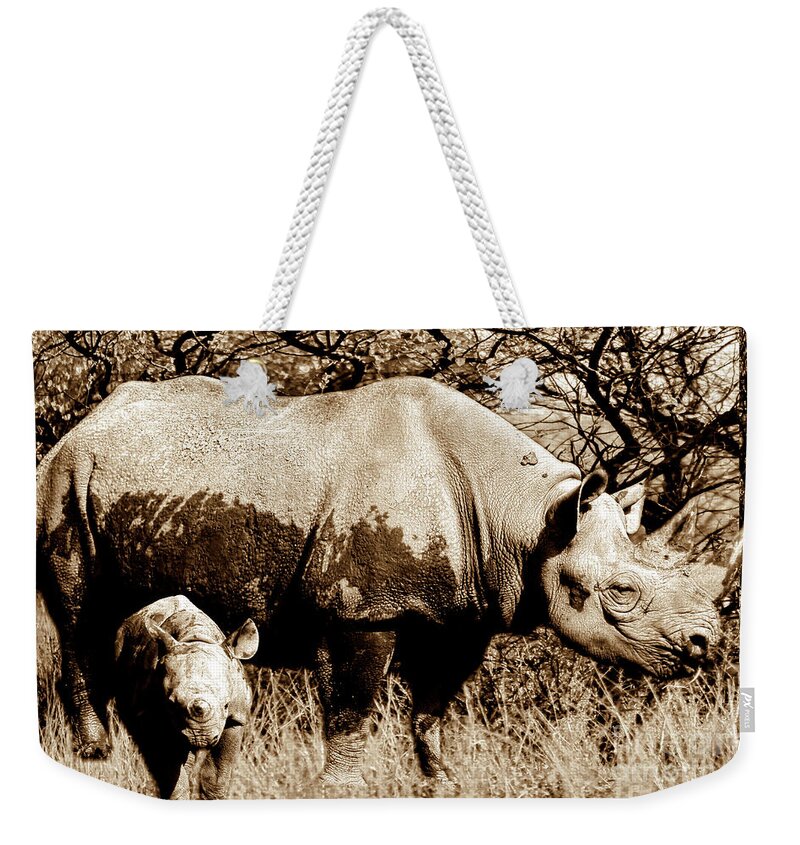 Rhinoceros Weekender Tote Bag featuring the photograph Black Rhino and youngster by Baggieoldboy