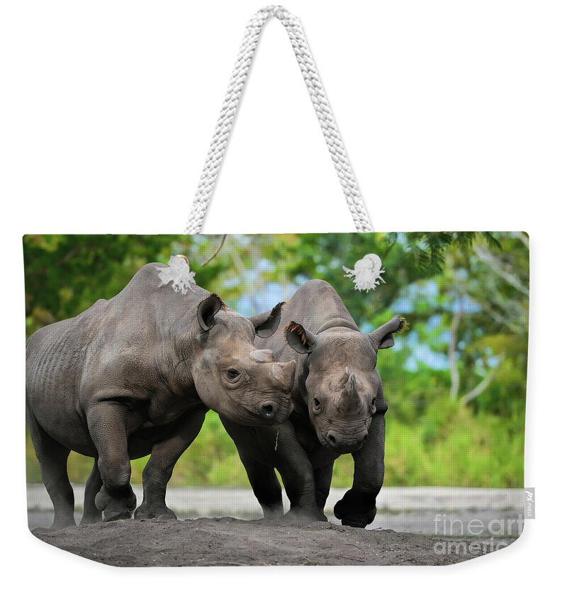 Black Rhinoceros Weekender Tote Bag featuring the photograph Black Rhinoceroses by Olga Hamilton