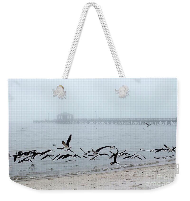 Shorebirds-flying Birds-at The Beach Weekender Tote Bag featuring the photograph Black Skimmers - Biloxi Mississippi by Scott Cameron
