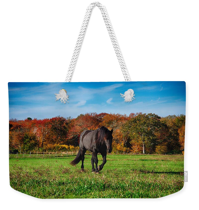 #jefffolger Weekender Tote Bag featuring the photograph Black stalion in the fall colors by Jeff Folger