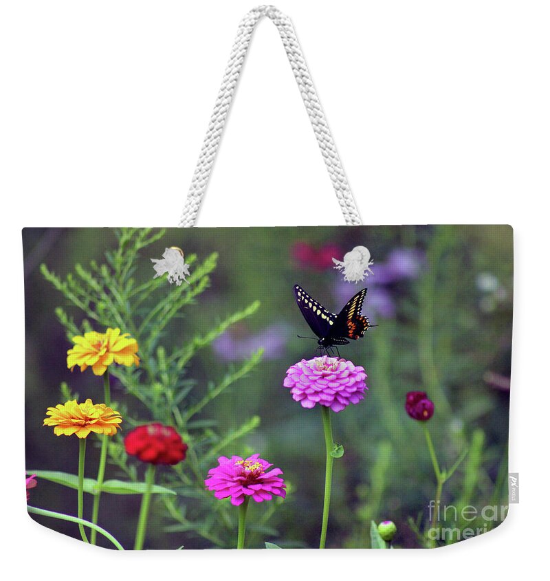Butterfly Weekender Tote Bag featuring the photograph Black Swallowtail Butterfly in August by Karen Adams