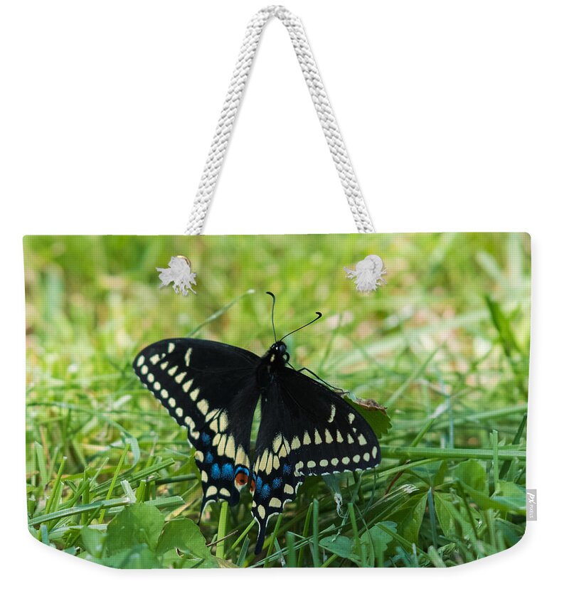 Black Swallowtail Butterfly Weekender Tote Bag featuring the photograph Black Swallowtail Butterfly by Holden The Moment