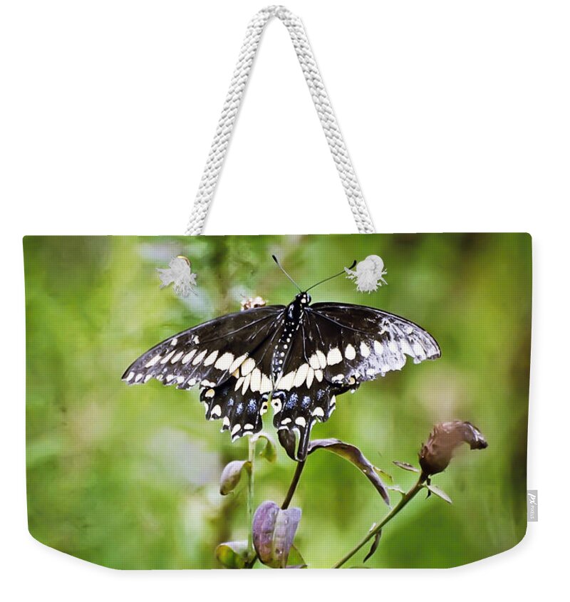 Black Swallowtail Butterfly Weekender Tote Bag featuring the photograph Black Swallowtail Butterfly by Kerri Farley