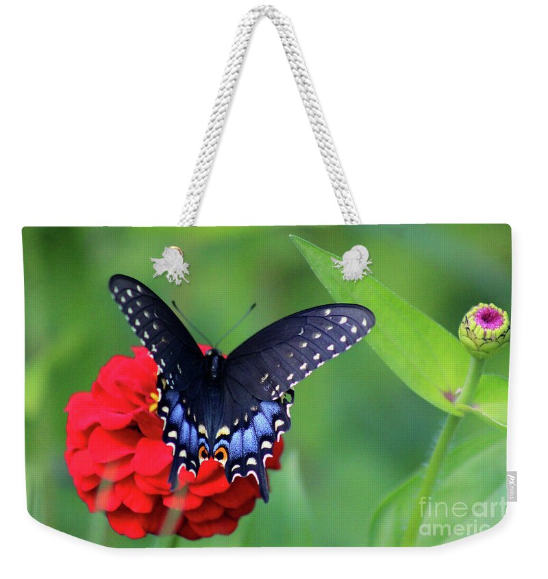 Butterfly Weekender Tote Bag featuring the photograph Black Swallowtail Butterfly on Red Zinnia by Karen Adams