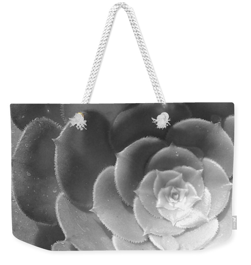 Flower Weekender Tote Bag featuring the photograph Blackand White Cabbage Cactus by Amy Fose
