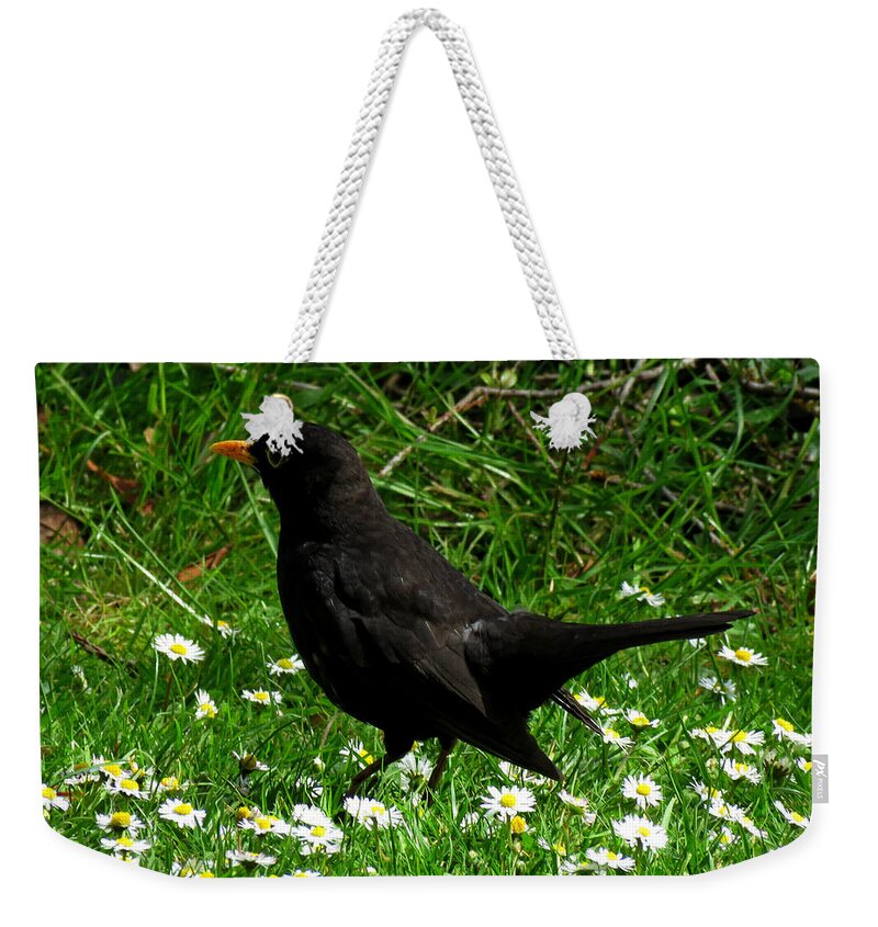 Blackbird Weekender Tote Bag featuring the photograph Blackbird by John Topman