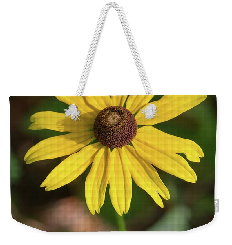 Blackeyed Susan Weekender Tote Bag featuring the photograph Blackeyed Susan by Paul Rebmann