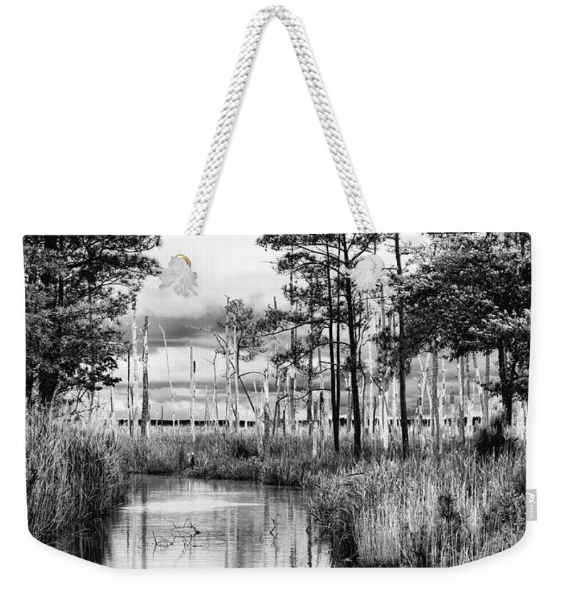 Black Weekender Tote Bag featuring the photograph Blackwater Wildlife Refuge by Richard Macquade