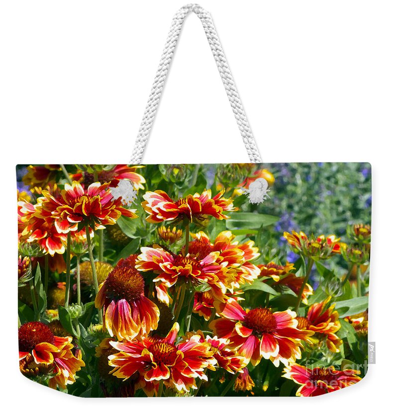 Gaillardia Weekender Tote Bag featuring the photograph Blanket Flowers by Sharon Talson