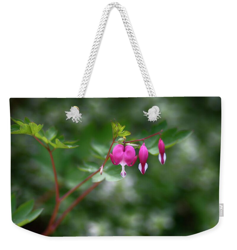  Weekender Tote Bag featuring the photograph Bleeding Hearts by Dan Hefle