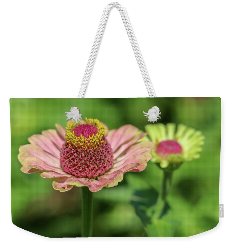 Summer Weekender Tote Bag featuring the photograph Blemished Beauty by Mary Anne Delgado