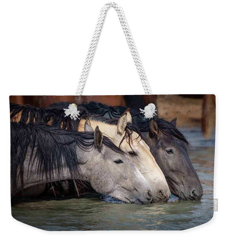 Horse Weekender Tote Bag featuring the photograph Blended Color Family of Wild Horses by Michael Ash